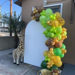 Balloon Garland 