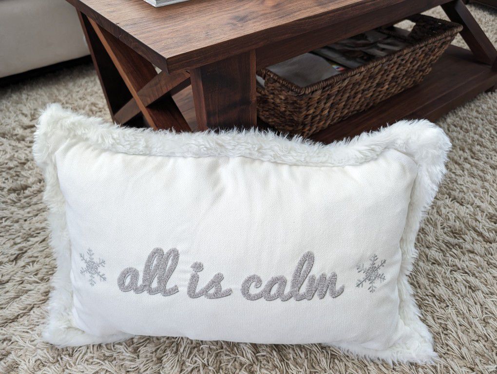 Nice down-filled throw pillow for sofa couch 