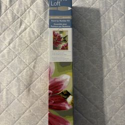 Paint By Number Kit. 