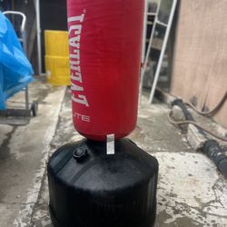 Everlast Punching Bag 