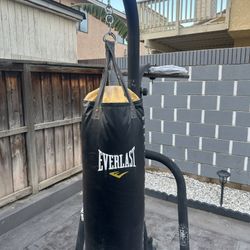 Everlast Punching Bag 