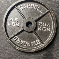45 Pound Weight Plate Pair