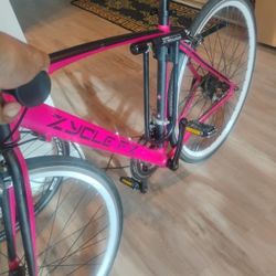 $121 ZYCLE FX CARRERA A 454 CUSTOM BIKE UNIVERSAL WOMEN & MEN BIKE PAID $750