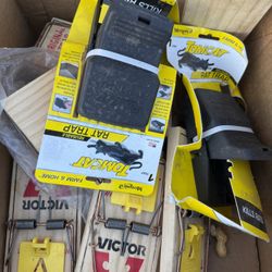 Rat Traps Large