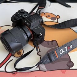 Sony a7Riv