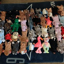 Beanie Babies 48 Rare Collection 