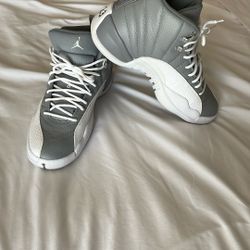 Air Jordan 12s