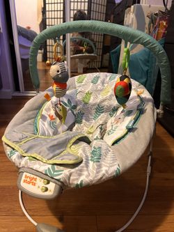 Baby Bouncer