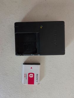 Sony Camera Battery and Wall Charger