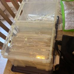 Utensils, Brown Lunch Bags, Carting bags