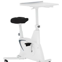 Exercise Bike And Desk