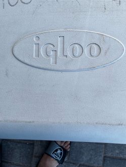 Igloo ice chest