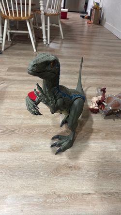 Raptor Jurassic park
