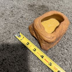 Reptile Bowl For Critters 