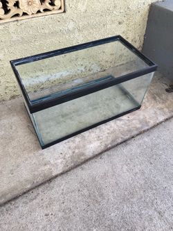 Free Fish Tank