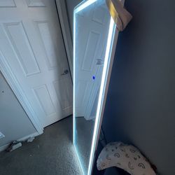 LED body mirror