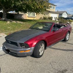 2007 Ford Mustang