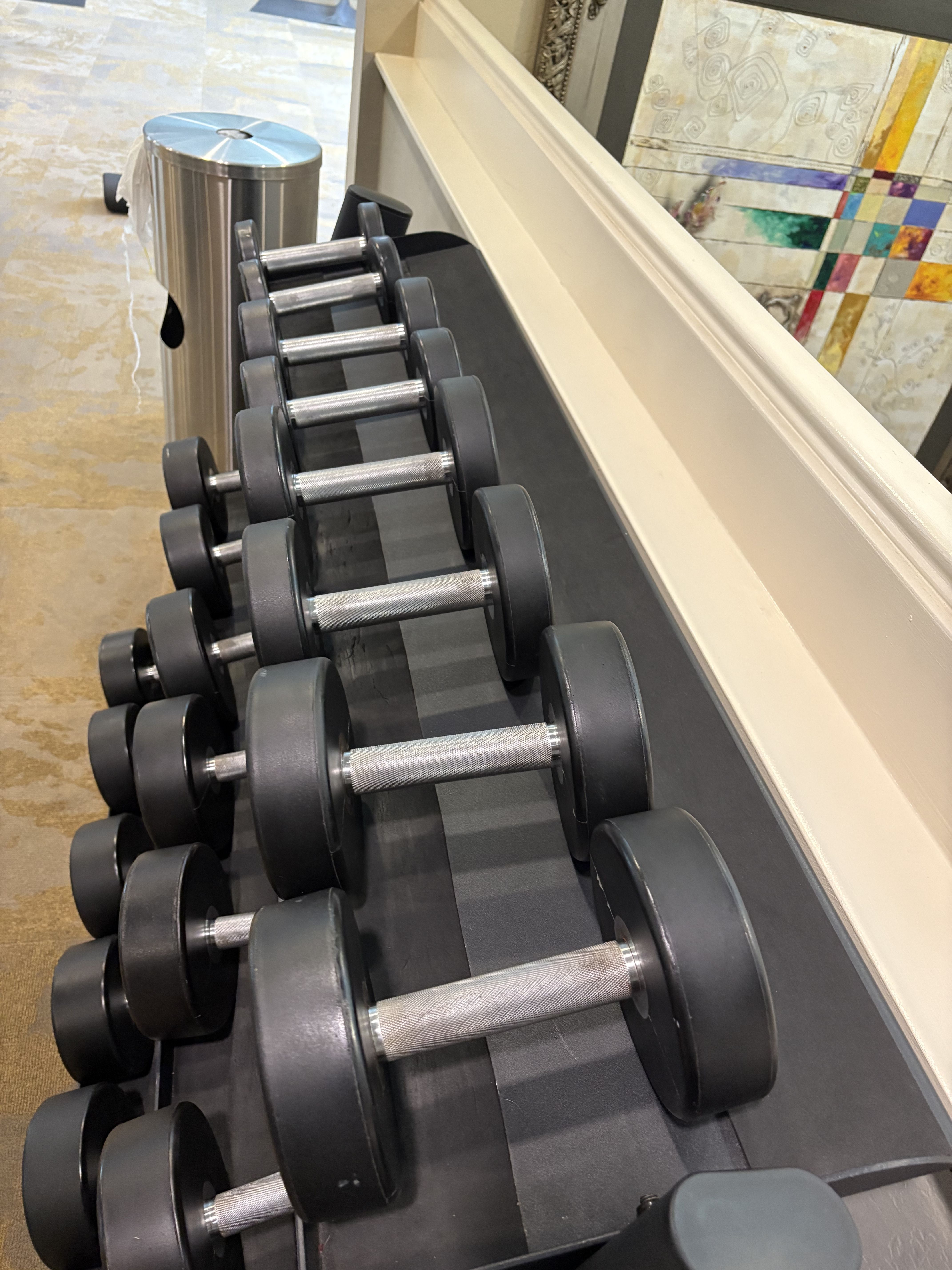 8 Sided Rubber Dumbbells 5-50lbs With Rack