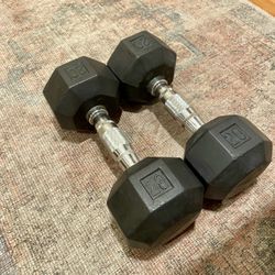 20lb Dumbbells 