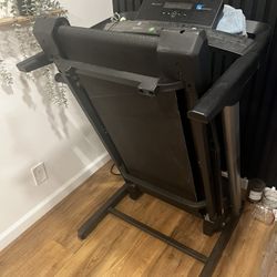 Free Treadmill