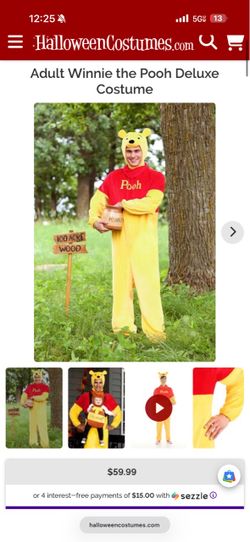 Winnie the Pooh Costume