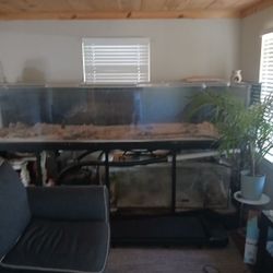 400Gal Fish Tank