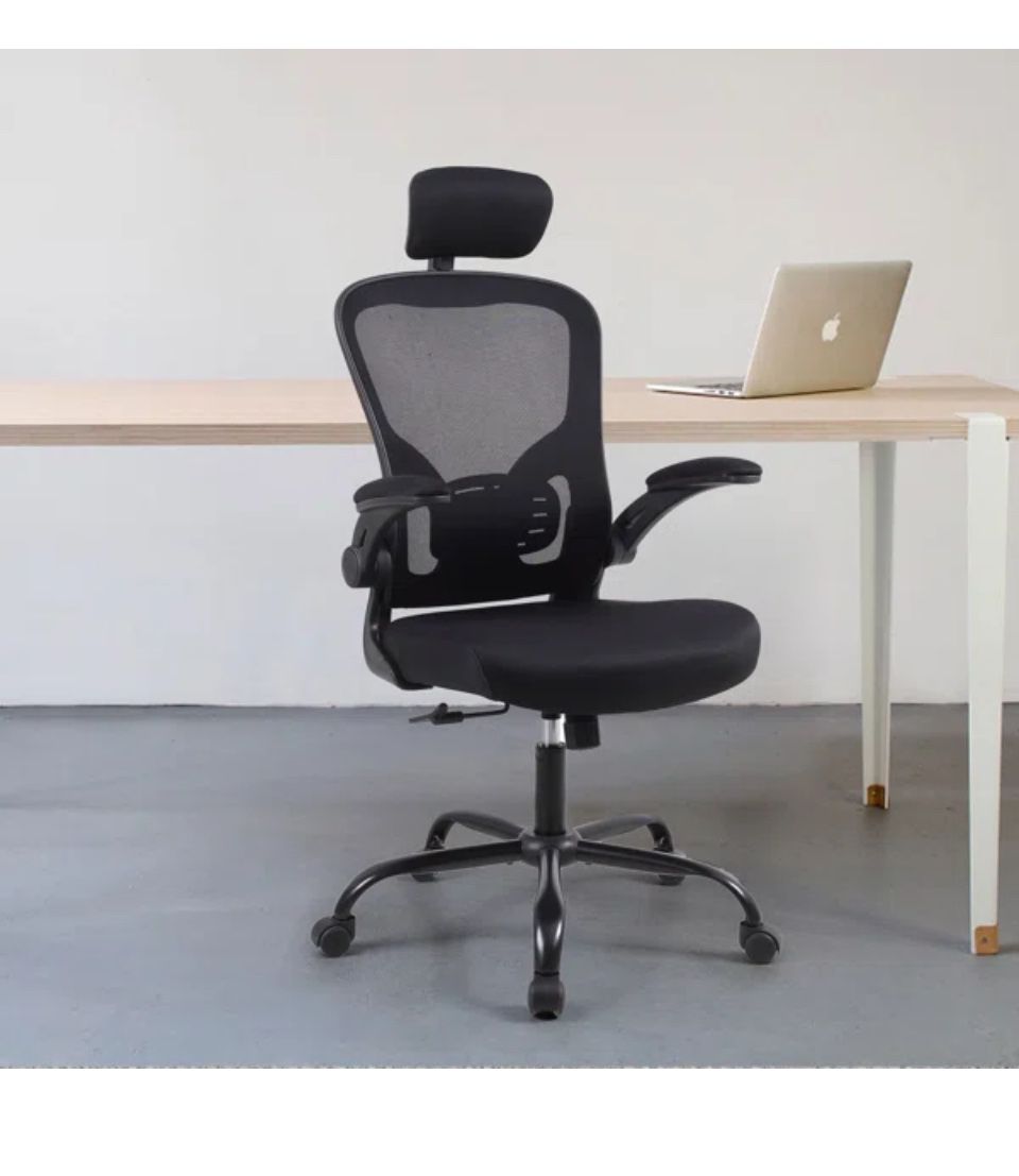 Itziar Ergonomic Desk Chair Office Chair Home Office Mesh Task Chair with Headrest