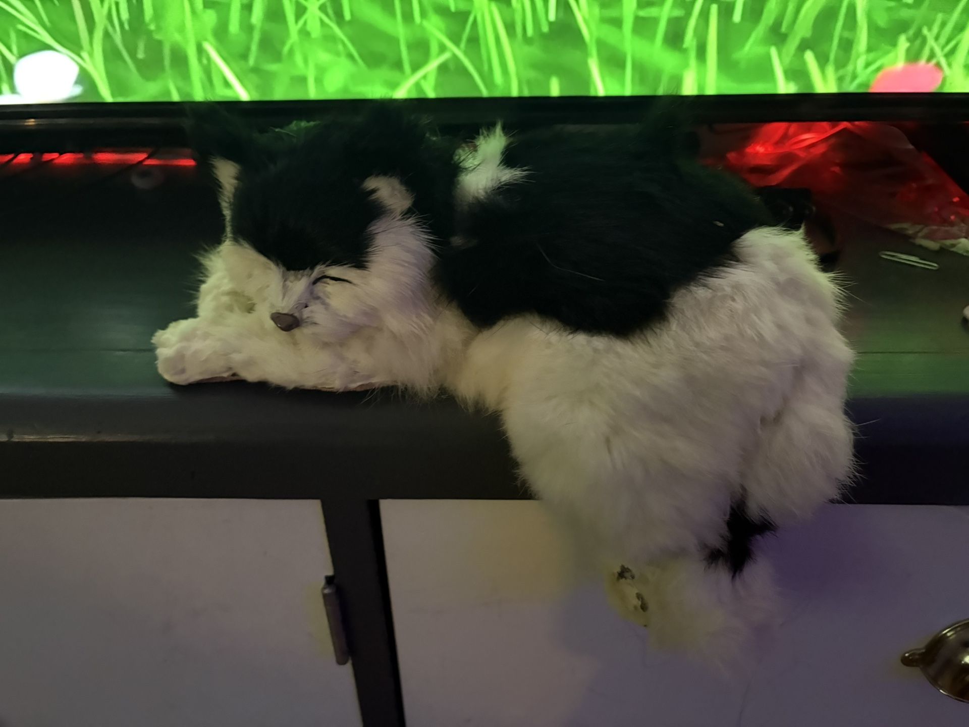 Realistic  Shelf  Cat