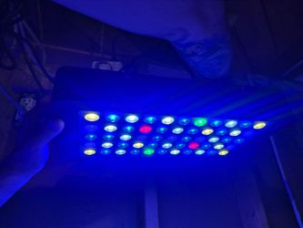 Mars grow lights set of 3