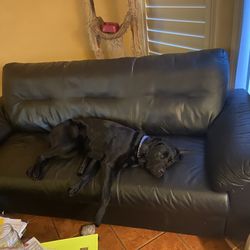 Free IKEA Couch
