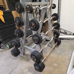 Fixed ez curl barbells with freemotion storage rack gym equipment exercise weights