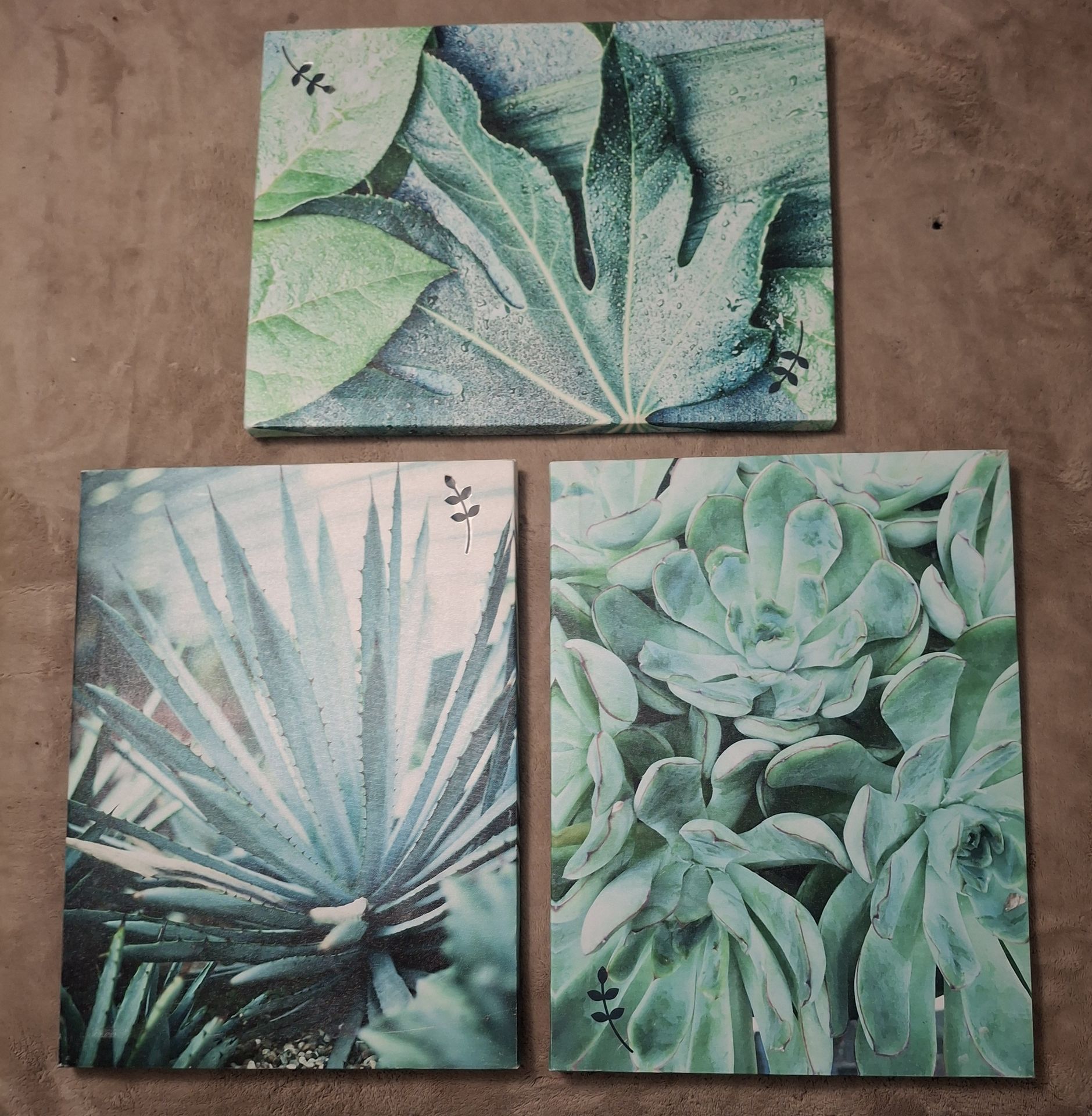 Plant canvas wall art