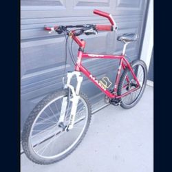 $600 Mountain Bike