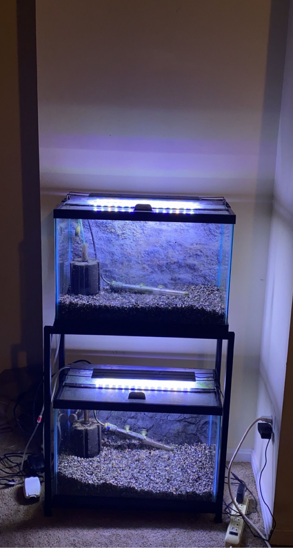 Two 20 gallons (standard) with double stand and everything included   