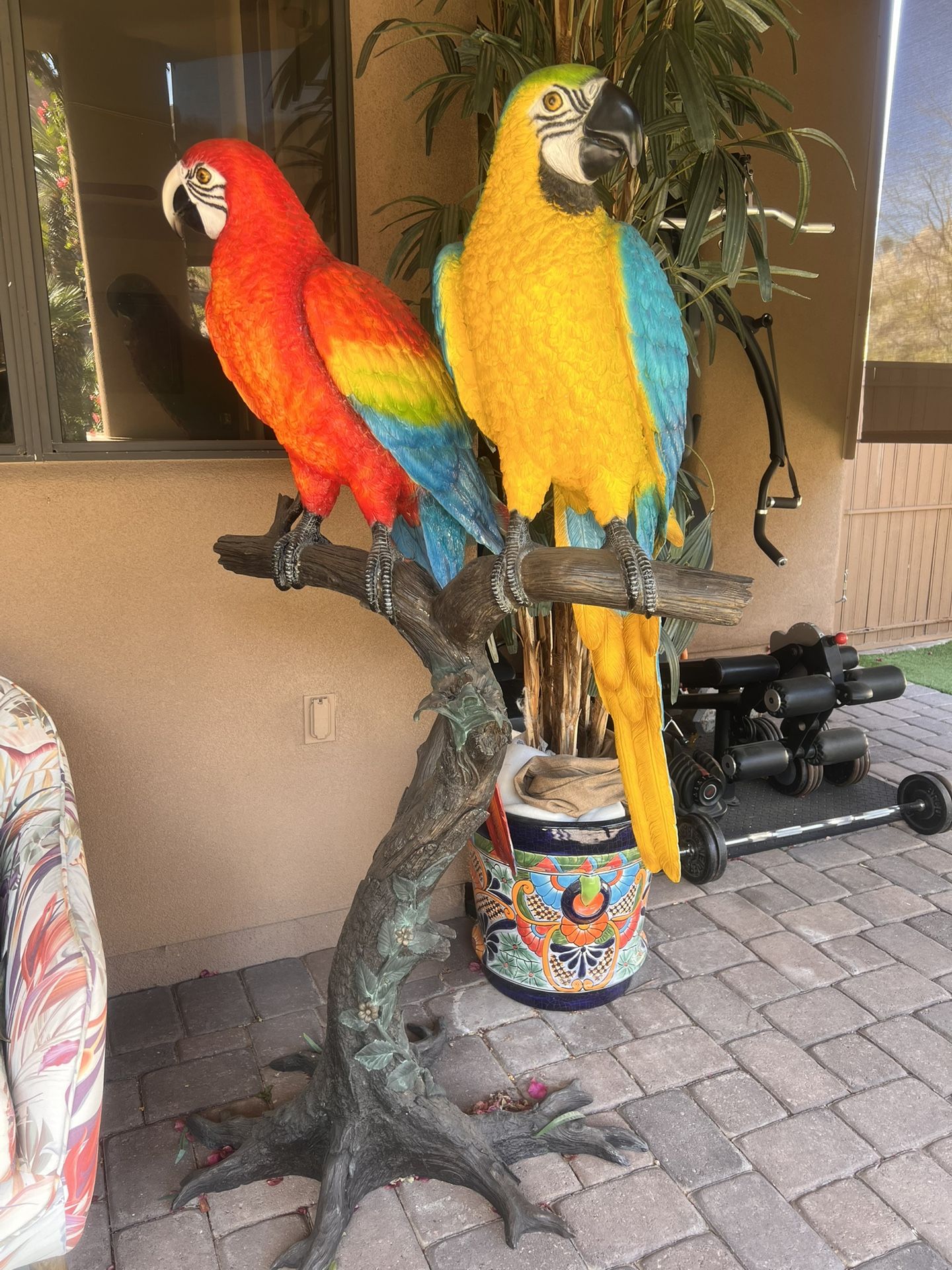 Brass Pair Of Macaws