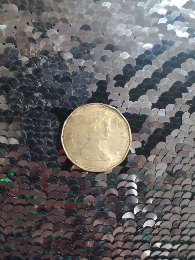One Canada Dollar 1987 Elizabeth Il D.G. Regina Coin