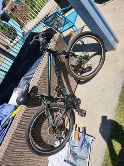 Schwin Bike