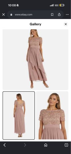 R&M Richards Blush Pink Soutache Cascade Chiffon Gown size 12