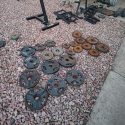 Olympic Weights 1 Dollar Per Pound