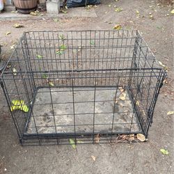 Dog Kennel