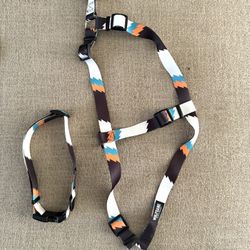Wolfgang Harness & Collar 