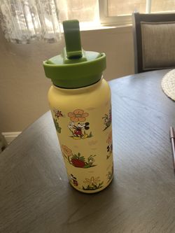 Disney Stainless Steel Water Bottle
