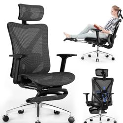 Ergonomic Office Chair
