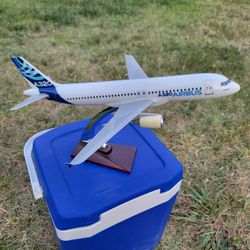 Airbus A320-200 1/100 Model Plane