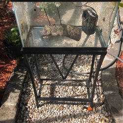 Reptile Aquarium 