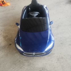 Tesla Electric Drivable Car 