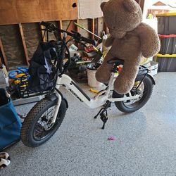 Electric Bike