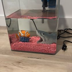 1 Gallon Fish Tank Aquarium with Filter, Ornament 