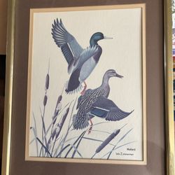 Vintage Framed Mallard Print