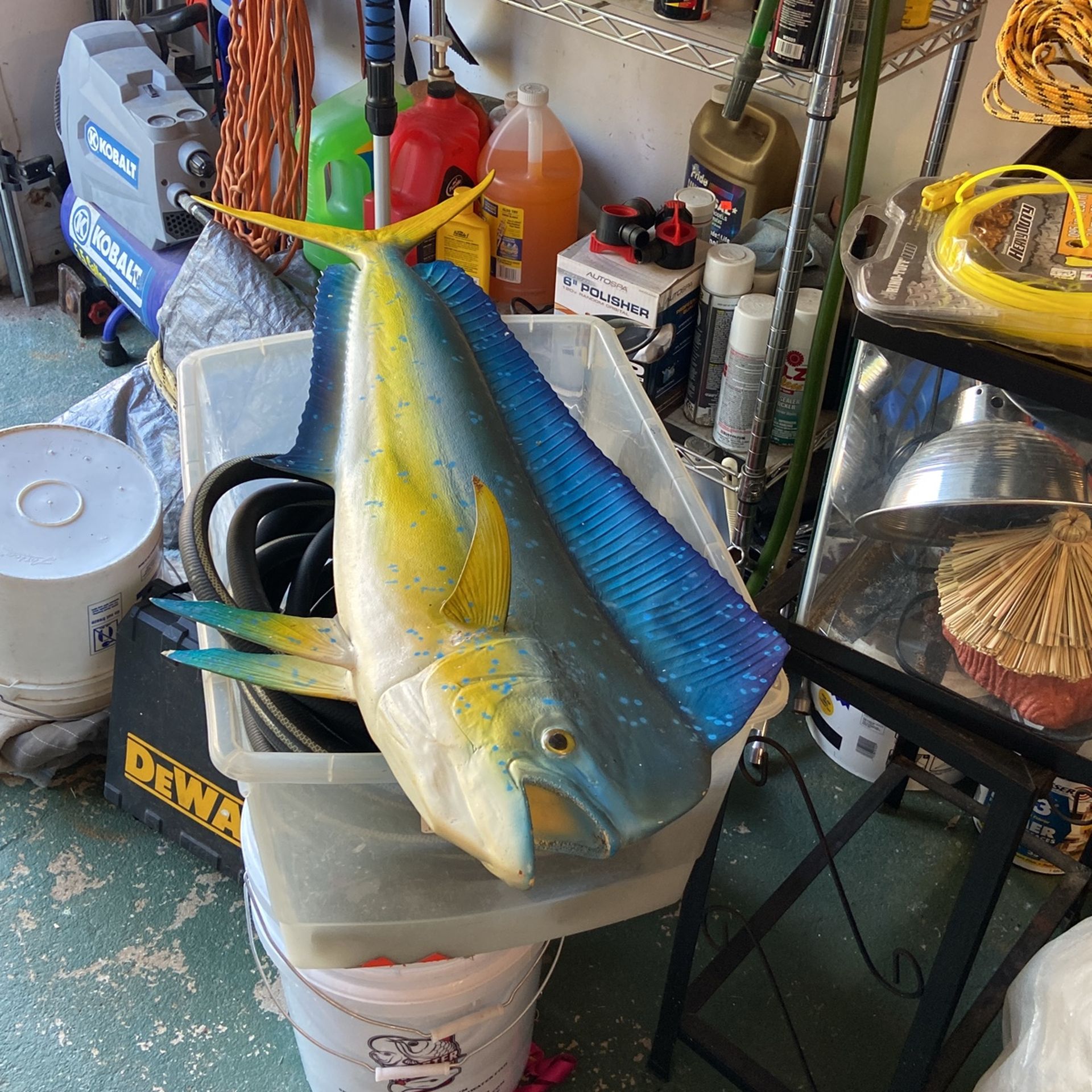 Fish mount dolphin